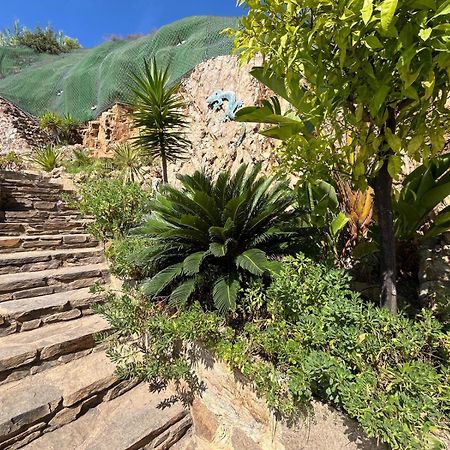 Meuble Tourisme 4*, Les Pieds Dans L'Eau, Villa Las Palmeras La Londe-les-Maures Eksteriør billede